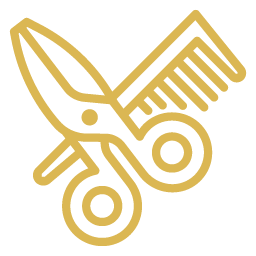 Icon 1